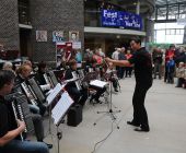 Fest der Vereine (2011)